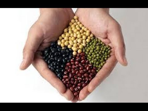 Tv7 con Voi del 07/01/2015 - Parliamo di Expo Veneto (2 di 3)