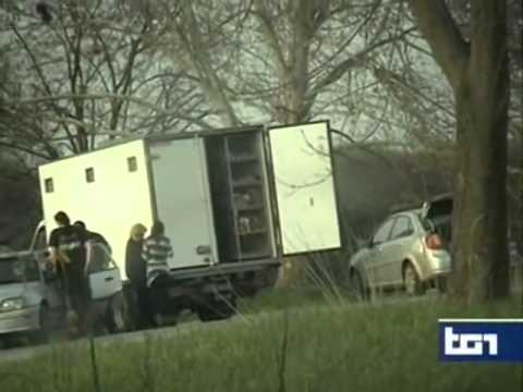 Il traffico dei cuccioli TG 1 del 07 04 2014