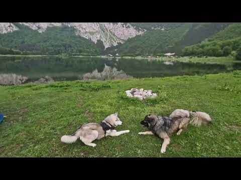 Prijevor - Trnovačko - Maglić