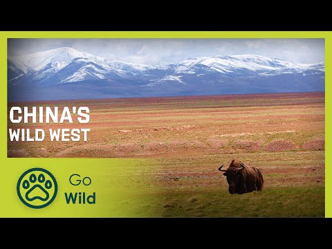 China's Wild West - Go Wild