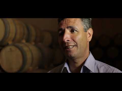 Brand Content Mercedes