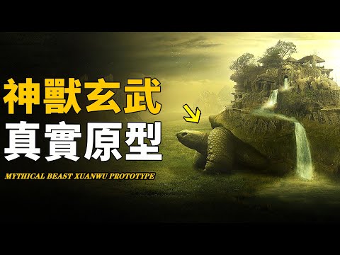 玄武圖