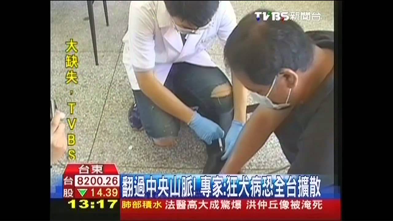 翻過中央山脈! 專家:狂犬病恐全台擴散