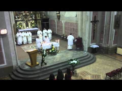 JKS 193 - Aleluja, radujme sa