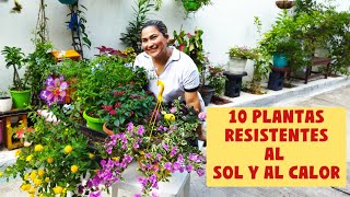10 PLANTAS RESISTENTES AL SOL Y AL CALOR🌹🌷🥀