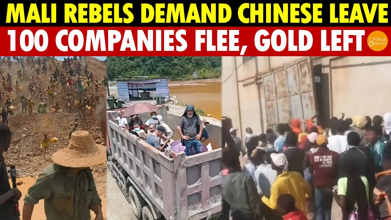 Rebels in Mali Shout at Chinese to "Get Out," 100 Companies Flee, 36 Tons of Gold Left