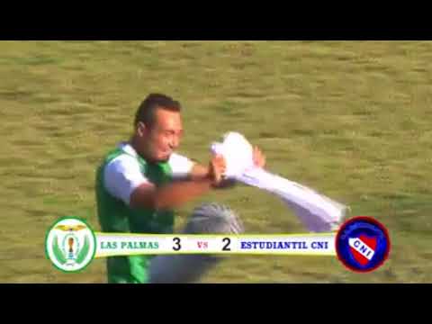 COPA PERÚ: RESUMEN LAS PALMAS VS CNI