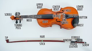 Learn the parts of the Violin and Bow