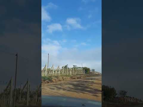 Outono na Serra- Monte Belo do Sul a Santa Tereza-RS 