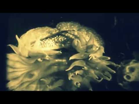 Zota Layer - wet resistance