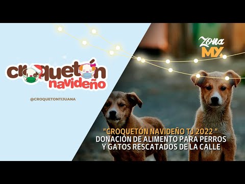 Conversando con Rosa Arce sobre Croquetón Navideño 2022 - ZONA MX