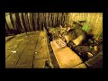 Fatty The Wild Brushtail Possum In Backyard Take 1