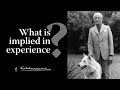 What Is Implied In Experience Krishnamurti