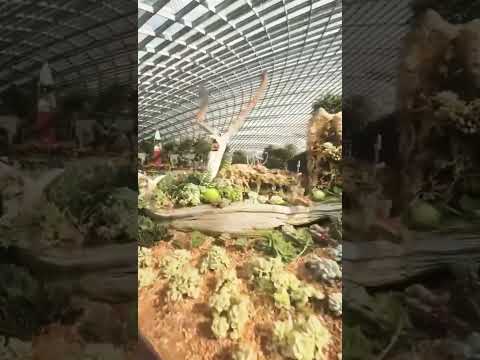 #podcast #newmusic #edm #music #dnsmusic #singer #beachmusic #love