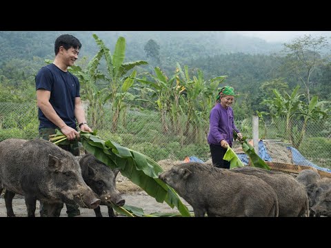 CEO Trieu Khang's compassionate and generous heart moved an elderly woman living alone to tears.