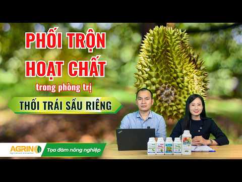 PHỐI TRỘN HOẠT CHẤT TRONG PHÒNG TRỊ THỐI TRÁI SẦU RIÊNG