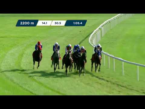 NAGRODA SK KRASNE – L (KAT. A) 27.08.2023 - (Dzień 28; Gonitwa 5)