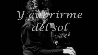 PJ Harvey - Dear Darkness subtitulada en español