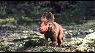 Trailer Preview Image