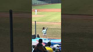 【TeamTaiwan】#芮絲 #曲曲 #牛奶 #冬季聯盟@台中洲際棒球場 20241208 #台湾チア #cheerdance #cheerleader #cpbl #teamtaiwan #啦啦隊