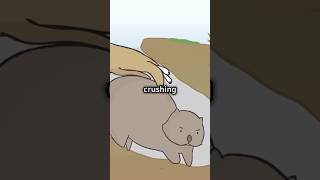 Wombat's Deadly Defense: Crushing with Their Butt! #shorts #nature