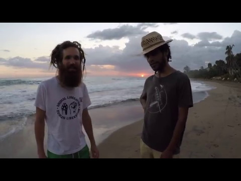 Dandelion Soundsystem inviting to the mighty DubCamp Festival