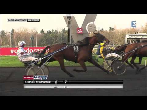 Criterium Continental 2015 - Bold Eagle (Franck NIVARD)