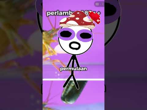 Top 3 Hewan Laut Paling Keren (Menurut Gua)
