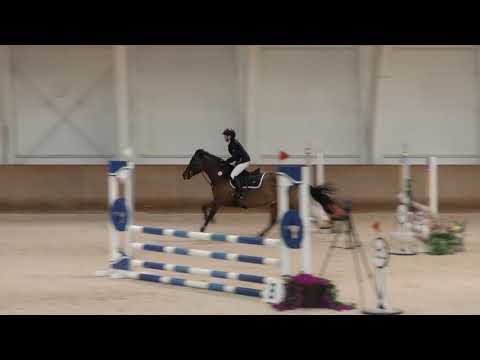 Penttilä Sara & Mon Ami 80cm @ Stable Nova 16.-18.11.2018