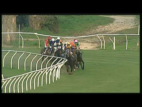 Galoppo 09/11/2020 - 6ª corsa