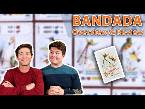 Bandada | Photograph Birds and Manipulate Dice! | Board Game Overview & Review (Episode #68)