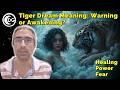 Tiger Dream Meaning: Warning or Awakening? - Dreamgozar Tiger Dream Meaning: Warning or Awakening?