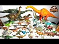 Brachiosaurus vs LONG NECKS DINOSAURS! Jurassic World Camp Cretaceous Sauropods Collection!