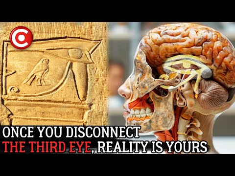Third Eye Pineal Gland: The Biggest Cover-Up in Human History