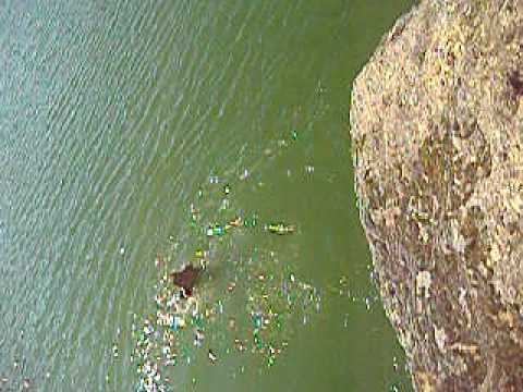 Fuentepiñel en la presa.