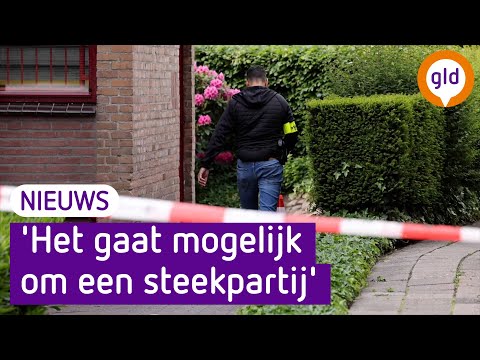 Dode gevonden in woning in Epe