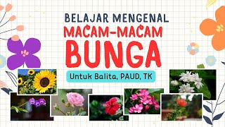 Download lagu BELAJAR NAMA-NAMA BUNGA | MACAM-MACAM BUNGA | UNTUK BALITA TK PAUD mp3