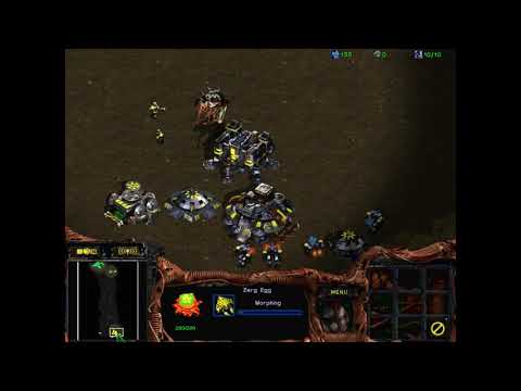 StarCraft Brood War Challenger (AsFphaLT vs mkmpi) Zerg vs Terran