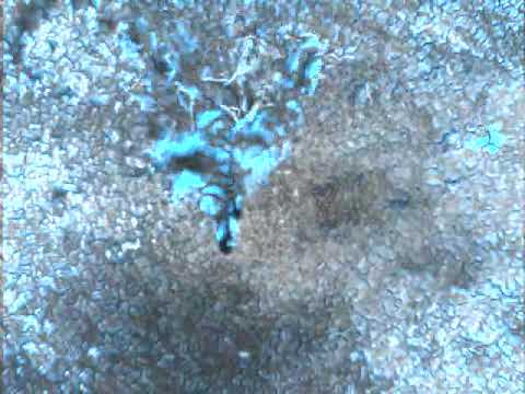 SwitchBlade-Elite and OGI Scout detect a leak while ground crew can't see it