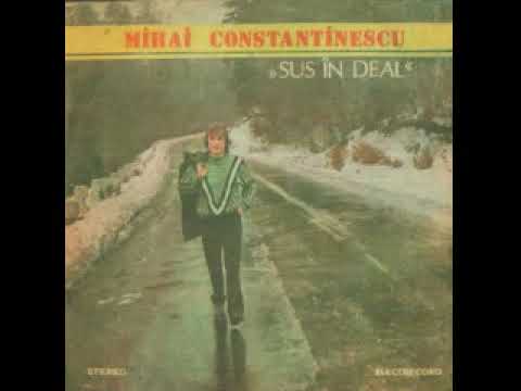 Mihai Constantinescu-Sus in deal