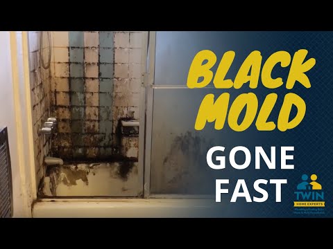 Bathroom Mold Removal: How Do I Remove Mold and Mildew...