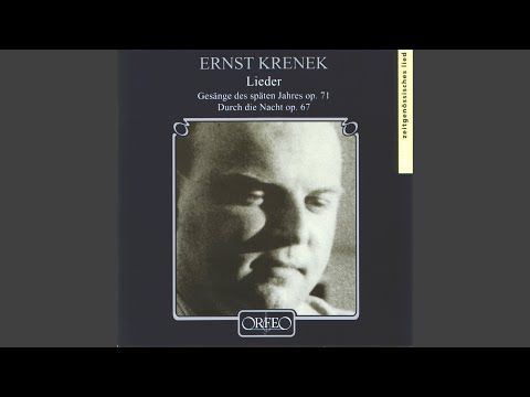 Gesänge des späten Jahres, Op. 71: No. 1. Wanderlied im Herbst