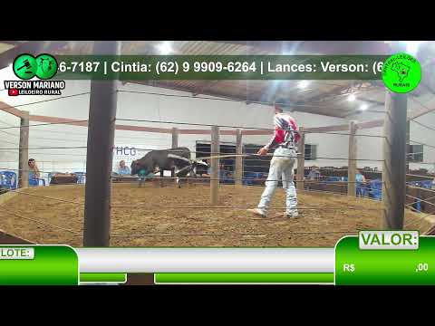 GRANDE LEILÃO ESPECIAL CENTRAL LEILÕES -LEOPOLDO DE BULHÕES - ARREMATE