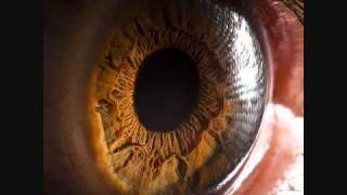 Cut Chemist - Quality Intro