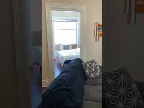 830 N. State - Video 2 of 2