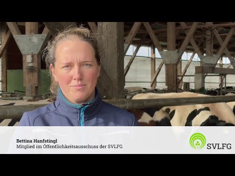 Sichere Rinderhaltung: Interview mit Bettina Hanfstingl zur neuen VSG 4.1