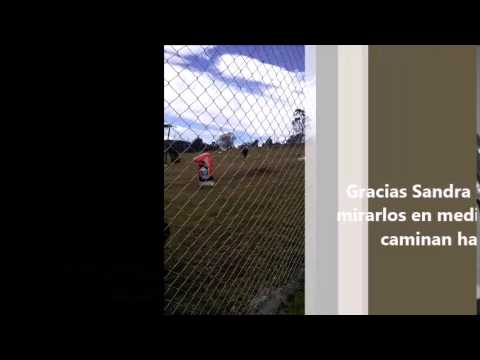 Video Sandra and Meily