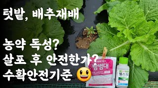 농약 독성? / 살포 후 안전한가? / 수확안전기준은 