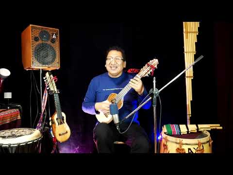 Charango en concierto. 17 de julio 2021 Willy Ríos.