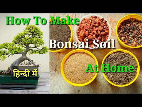 How To Make Bonsai Soil At Home